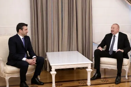 İlham Əliyev Selçuk Bayraktarı qəbul etdi