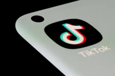 Daha bir ölkə "TikTok"u qadağan edir