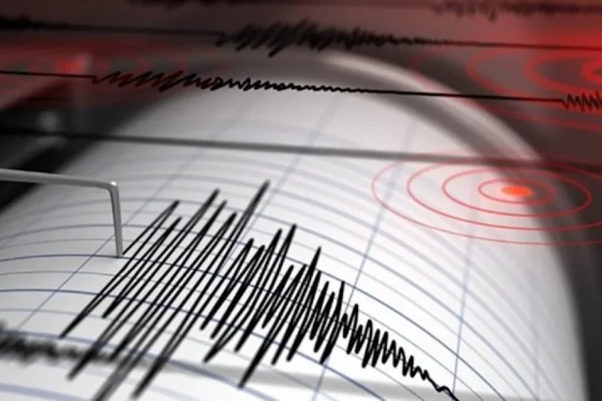 Daha bir ölkədə güclü zəlzələ oldu