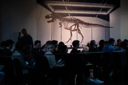67 milyon illik dinozavr skeleti üçün - 6,2 milyon dollar ödədi