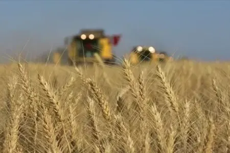 Daha bir ölkədən Ukrayna ilə bağlı - QADAĞA