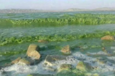 Ermənilər Araz çayını bu cür məhv edir - Video