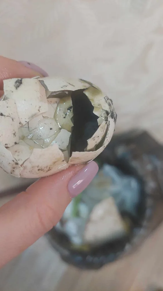 “Bazarstore”dan aldığı məhsulun hamısı xarab çıxdı - FOTOLAR