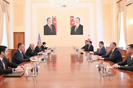 Əli Əsədov Gürcüstan parlamentinin sədri ilə görüşüb