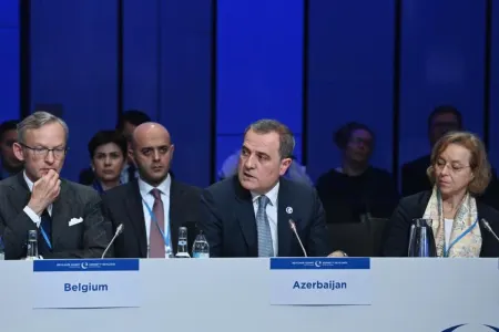 Ceyhun Bayramov Avropa Şurasında bəyanatla - ÇIXIŞ ETDİ