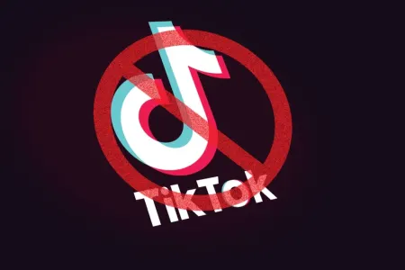 Burada TikTok rəsmən qadağan edildi