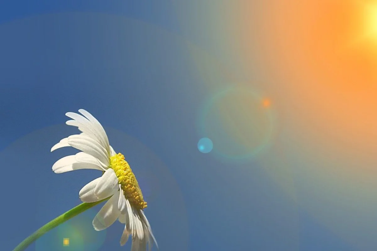 Sabah 27 dərəcə isti olacaq