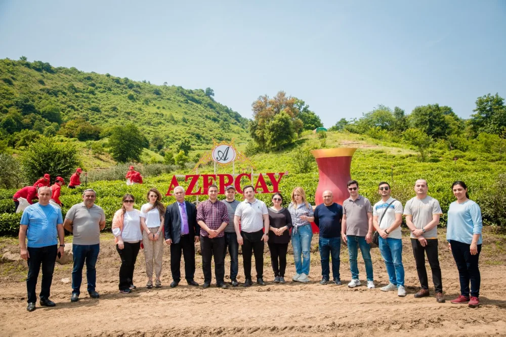 “Azerçay” tərəfindən KİV nümayəndələrinin çay plantasiyalarına - media-turu təşkil edildi