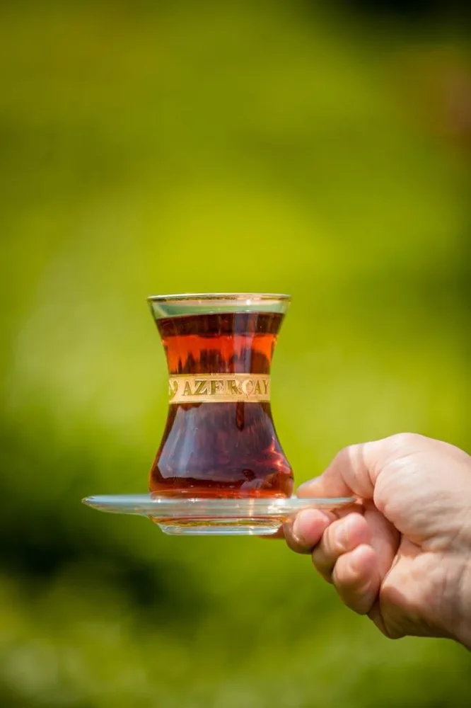 “Azerçay” tərəfindən KİV nümayəndələrinin çay plantasiyalarına - media-turu təşkil edildi