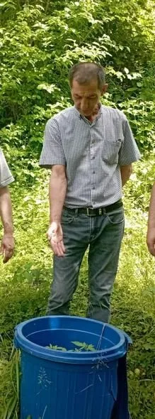 Meşədə narkotik becərən şəxs saxlanıldı - FOTO