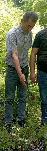 Meşədə narkotik becərən şəxs saxlanıldı - FOTO