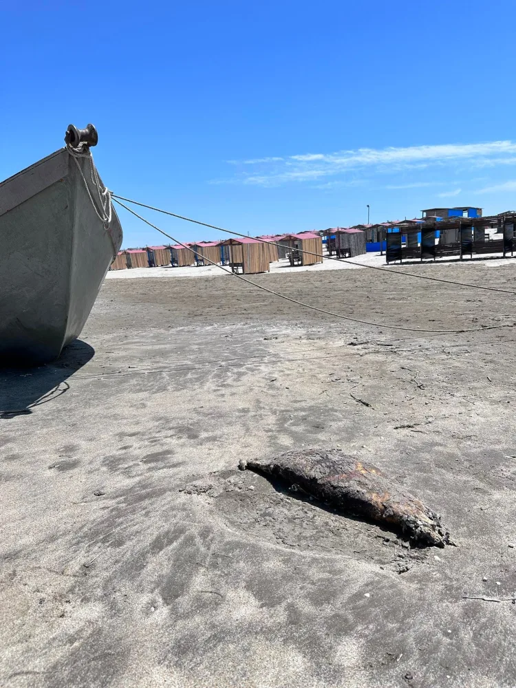 Tanınmış bloger Bakıya gəldi, - qorxunc görüntülər yaydı – FOTO