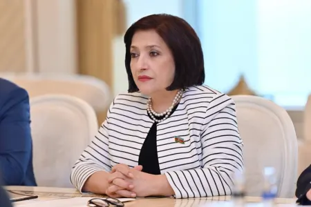 Sahibə Qafarova Avstriyada rəsmi səfərdədir