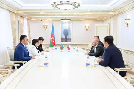 Sahibə Qafarova çexiyalı deputatlarla görüşüb - — FOTO