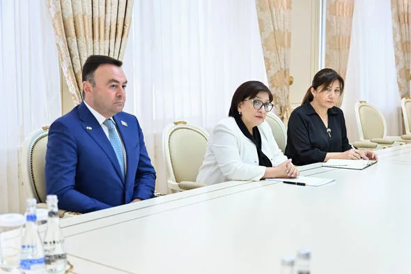Sahibə Qafarova çexiyalı deputatlarla görüşüb - — FOTO