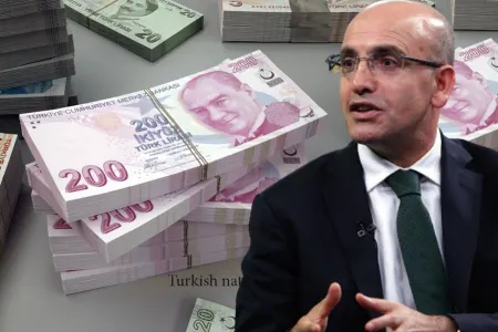 Lirə çökür: Şimşək hansı addımı atacaq? - — Türk professor AÇIQLADI