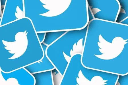 Bayden, Mask və Bill Qeytsin "Twitter" hesablarını sındıran haker həbs edildi