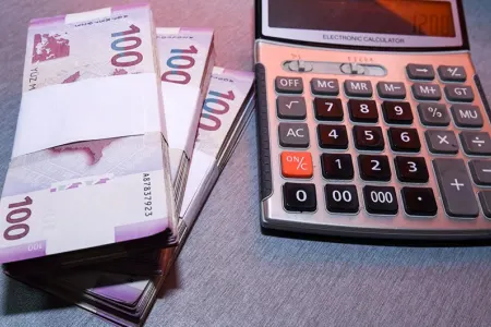 Azərbaycan manatının effektiv məzənnələri - il ərzində artıb