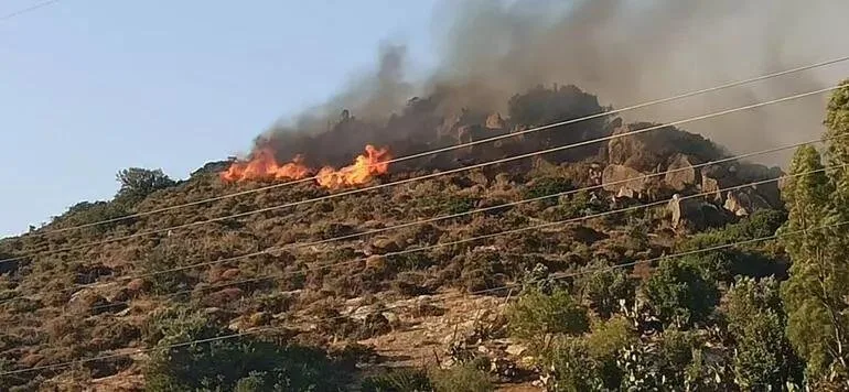 Muğlada meşə yanğını: əraziyə helikopter və təyyarələr cəlb olundu - FOTO