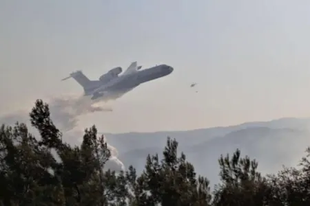 Türkiyədə meşə yanğınları: - Helikopter və təyyarələr cəlb edildi