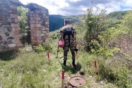 MN azad edilmiş ərazilərdə aşkarladığı minaların sayını - AÇIQLADI