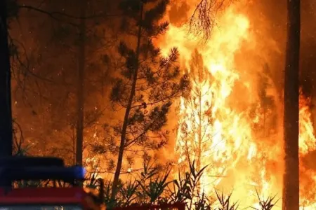 Əlcəzairdəki meşə yanğınları: - 15 ölü, 26 yaralı