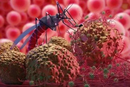BMT yeni virus barədə xəbərdarlıq etdi: - "Ölkələr təhlükədədir"