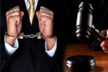 "İldırım Məmmədova rüşvət yox, cibxərcliyi vermişəm..." - Həbsdəki bələdiyyə SƏDRİ