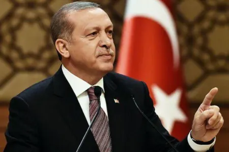 "Nigerin davranışı ədalətsizliyin cəzasıdır" - Ərdoğan