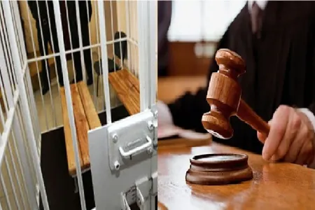 Narkotikə görə tutulan Azərbaycanın Milli Qəhrəmanının oğlu - MƏHKƏMƏYƏ ÇLXARILACAQ