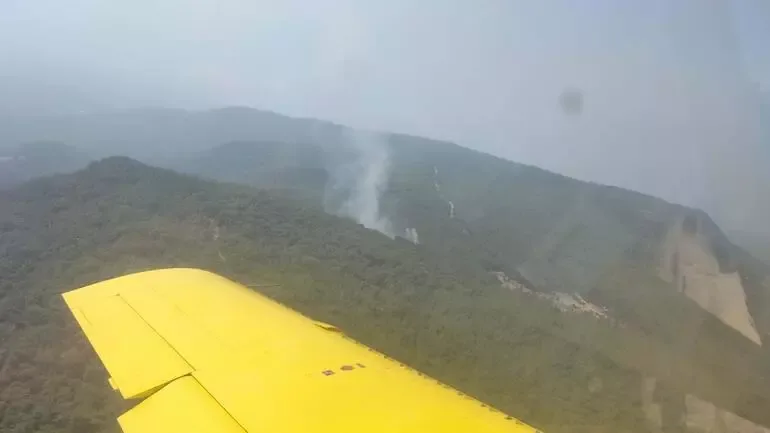 Türkiyədə yenidən meşə yanğını başladı