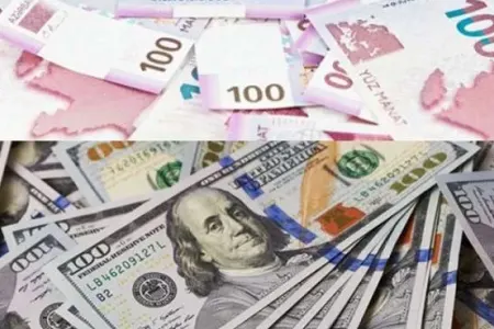 Dollara tələb artır: - Manatın məzənnəsi necə dəyişəcək?