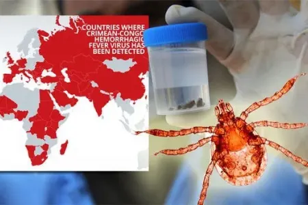 "Krım-Konqo" virusu YAYILDI: - ÖLƏNLƏR VAR