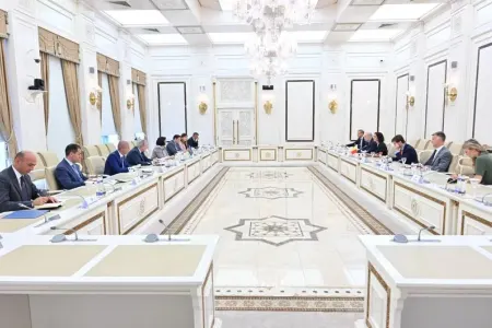 Sahibə Qafarova Belçikanın XİN başçısını - QƏBUL ETDİ