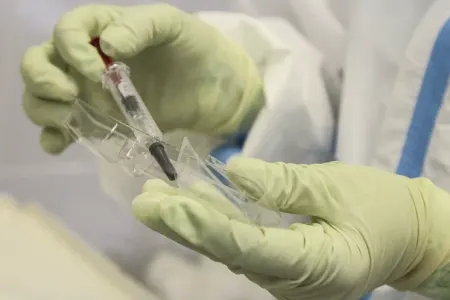 Polşada bu virus sürətlə YAYILIR: - ölənlər var - VİDEO