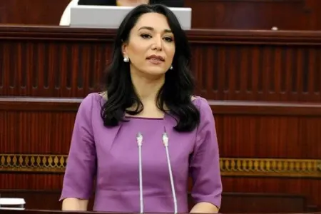 "İƏT nümayəndə heyəti Qarabağda faktlar toplayacaq"