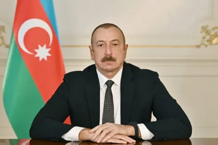 “Silahlı münaqişələr zamanı itkin düşmüş şəxslər məsələsi qlobal problemdir"
