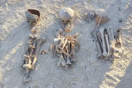 "Sadəcə 120 nəfərin meyit qalıqları təhvil verilib"