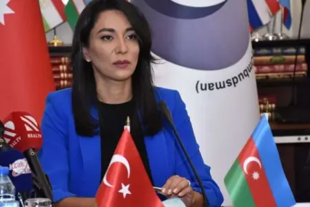 Ombudsman Ermənistanın növbəti mina terroruna - münasibət bildirdi