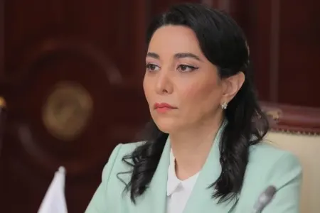 Ombudsman BMT-nin müşaviri ilə görüşdü