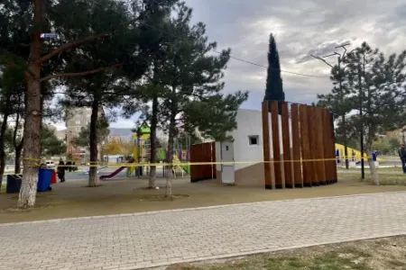 "Çocuklar Duymasın"ın aktrisası parkda ölü tapıldı - FOTOLAR