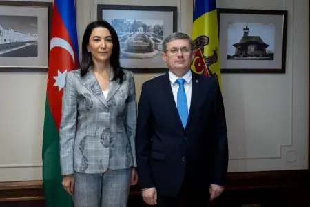 "Ermənistanın quraşdırdığı minalar hərbçilərimizin həyatına son qoymaqdadır" - OMBUDSMAN-VİDEO