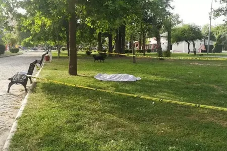 Parkda meyiti tapılan aktrisa ilə bağlı - ŞOK DETALLAR