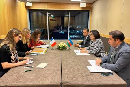 Sahibə Qafarova Fransa Milli Assambleyasının sədrinə separatizmi dəstəklədiklərini - BİLDİRDİ