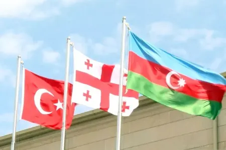 Üçtərəfli əməkdaşlığın perspektivləri müzakirə - OLUNDU