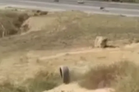 DİN yayılan video ilə bağlı araşdırmalara - BAŞLADI