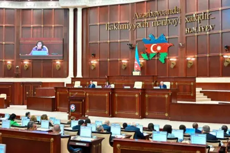 Milli Məclisdə yeni komissiya - YARADILDI