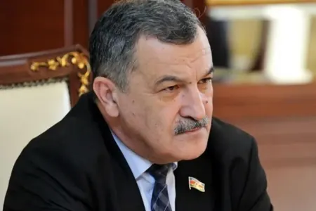 "Avropa Parlamentində nə kompüter, nə də internet var" - Deputat