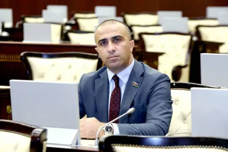 "Hər kəs öz işi ilə məşğul olsun" - Deputat