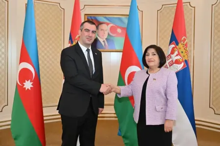 Sahibə Qafarova serbiyalı həmkarı ilə görüşdü - FOTO